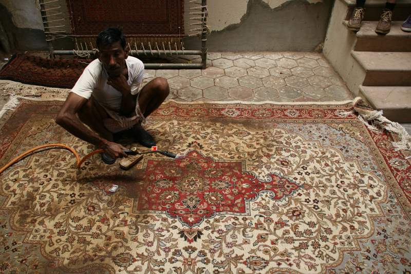 India & Nepal 2011 - 1456